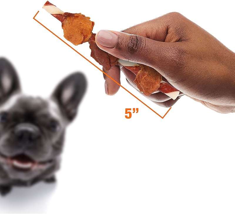 Good 'n' Fun Kabobs Long-Lasting Dog Treat, With Real Proteins, Beef Hide and Premium Chicken, Supports Dental Health, Mental Stimulation, 4 oz - Image 6