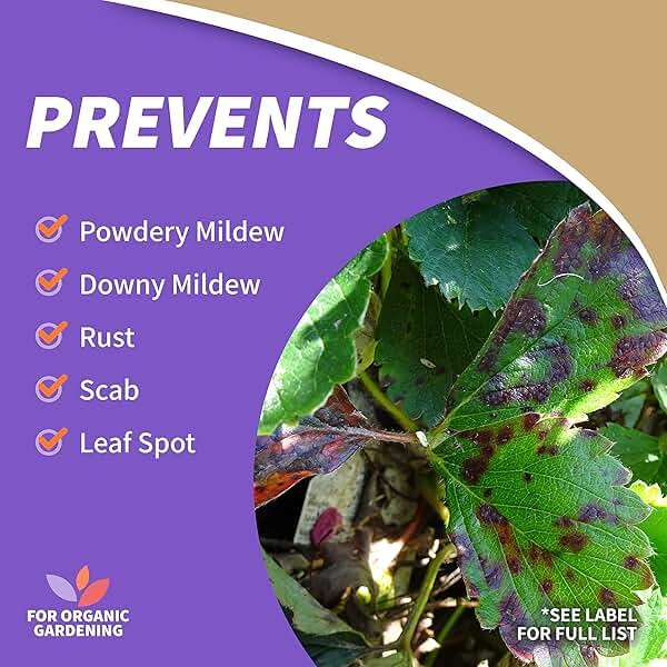 Bonide Captain Jack's Neem Oil, 32 oz Ready-to-Use Spray, Multi-Purpose Fungicide, Insecticide and Miticide for Organic Gardening - Image 7