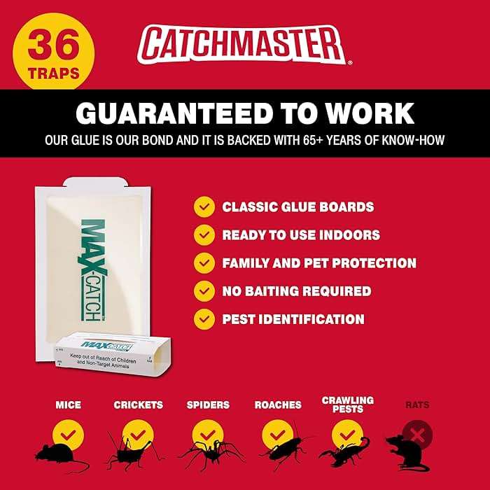 Catchmaster Max-Catch Mouse & Insect Glue Trap 36pk, Mouse Traps Indoor for Home, Sticky Pest Control Adhesive Tray for Catching Bugs, Bulk Classic Glue Boards - Image 4