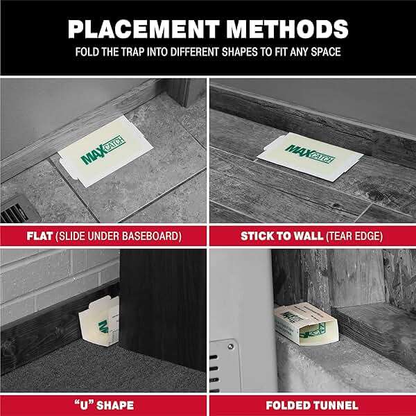 Catchmaster Max-Catch Mouse & Insect Glue Trap 36pk, Mouse Traps Indoor for Home, Sticky Pest Control Adhesive Tray for Catching Bugs, Bulk Classic Glue Boards - Image 6