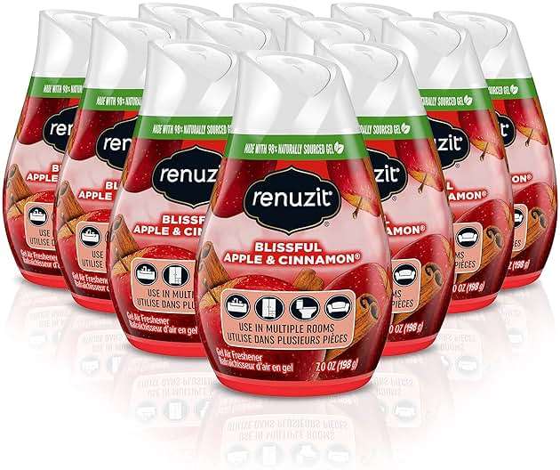Renuzit - 1717587 Blissful Apple & Cinnamon Adjustable Gel Air Freshener, 7oz Cone (Pack of 12) - Image 1