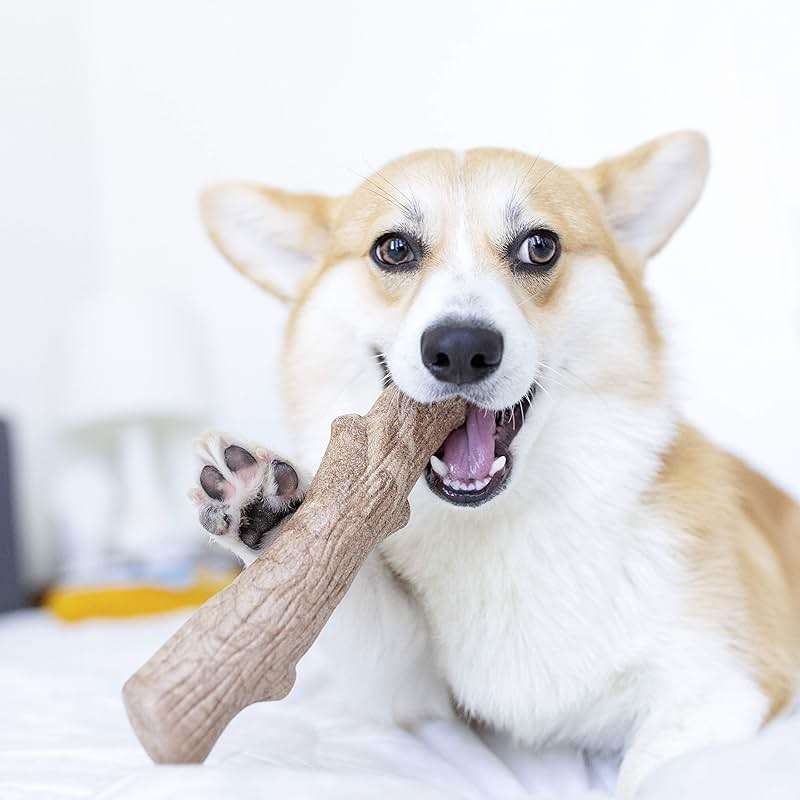 Pupstages Dogwood Dog Chew Toy, Made in the USA – Real-Wood Blend, Natural Flavor & Texture, Moderate Chewers, Large, 8" - Image 6