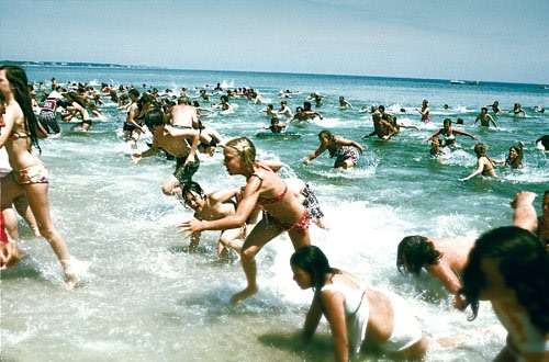 Jaws - Image 5