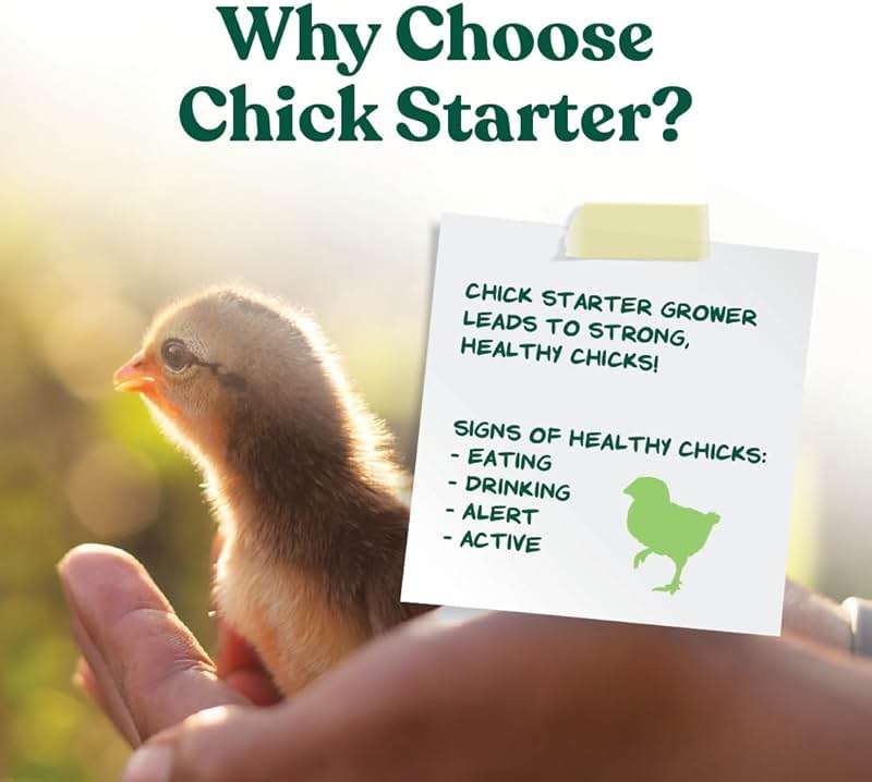Manna Pro Medicated Chick Starter Grower Feed, Dried High Protein Chicken Food Crumbles with Amprolium for Coccidiosis Prevention, Complete Chicken Feed for Baby Chicks, 5 lb Bag - Image 3