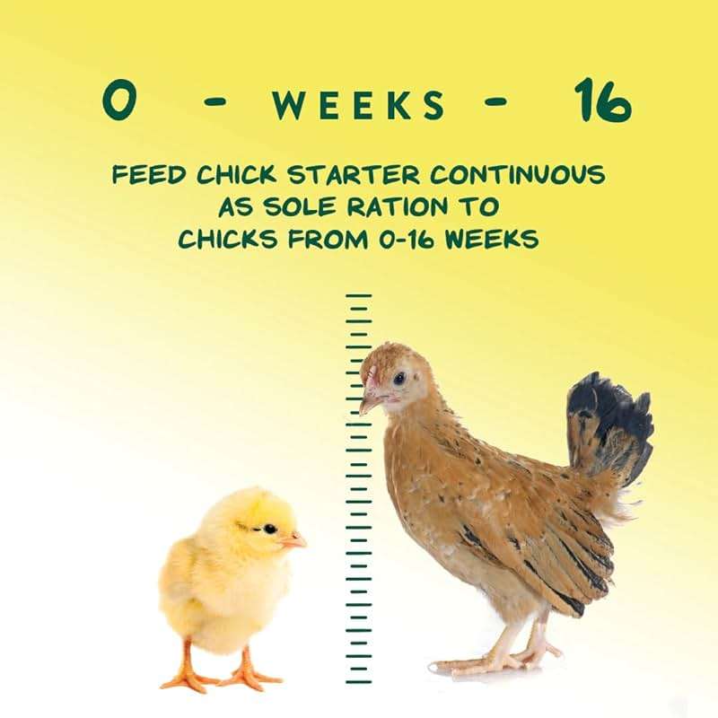 Manna Pro Medicated Chick Starter Grower Feed, Dried High Protein Chicken Food Crumbles with Amprolium for Coccidiosis Prevention, Complete Chicken Feed for Baby Chicks, 5 lb Bag - Image 6