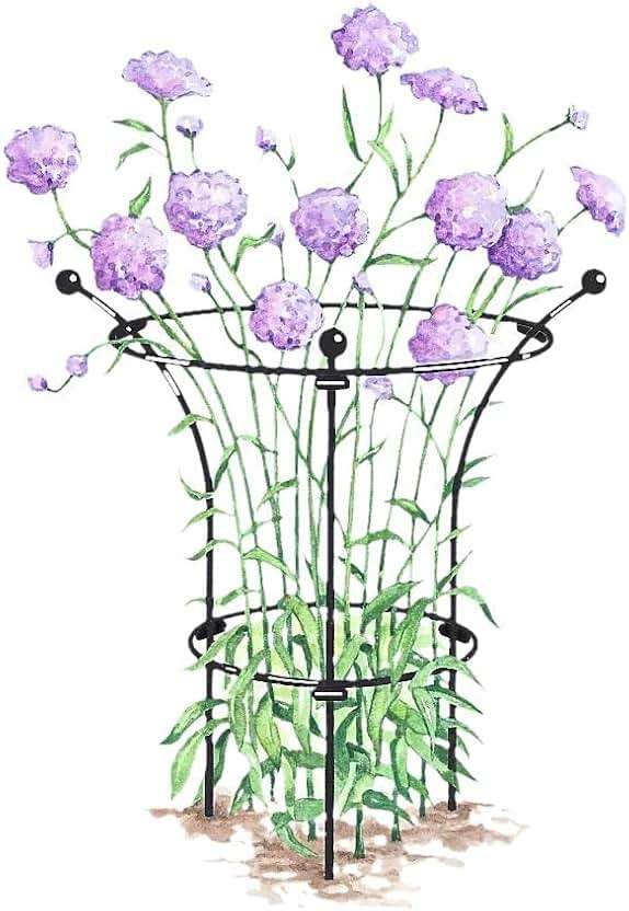 Gardener's Supply Company Essex Plant Support | Sturdy Metal Frame for Peonies & Roses | Standing Flower Garden Cage | Natural Bouquet Shape | Small 23" H X 14" D (Set of 2) - Image 1