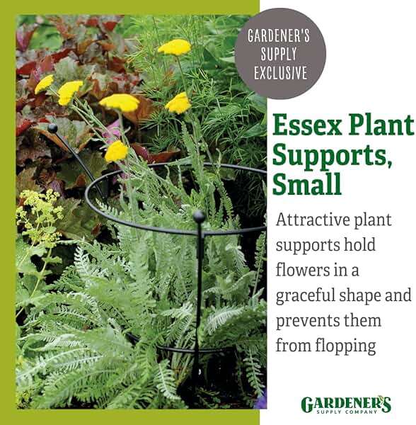 Gardener's Supply Company Essex Plant Support | Sturdy Metal Frame for Peonies & Roses | Standing Flower Garden Cage | Natural Bouquet Shape | Small 23" H X 14" D (Set of 2) - Image 4