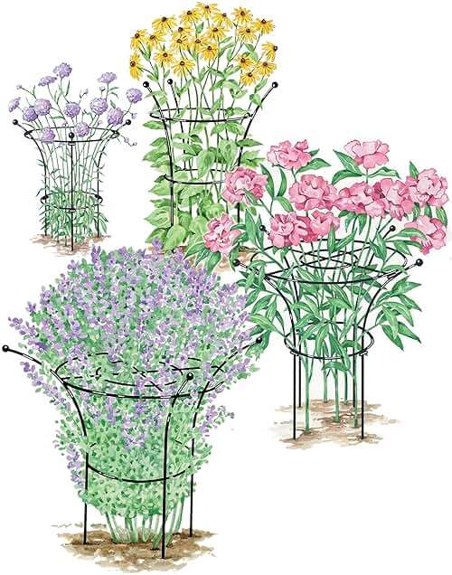 Gardener's Supply Company Essex Plant Support | Sturdy Metal Frame for Peonies & Roses | Standing Flower Garden Cage | Natural Bouquet Shape | Small 23" H X 14" D (Set of 2) - Image 7