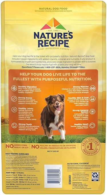 Nature's Recipe Grain Free Chicken, Sweet Potato & Pumpkin Recipe Dry Dog Food, 4 lb. Bag - Image 5