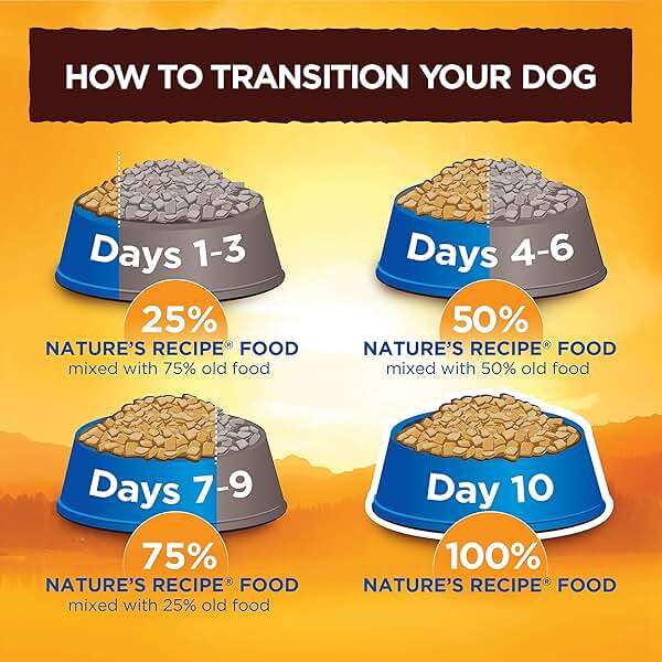 Nature's Recipe Grain Free Chicken, Sweet Potato & Pumpkin Recipe Dry Dog Food, 4 lb. Bag - Image 9