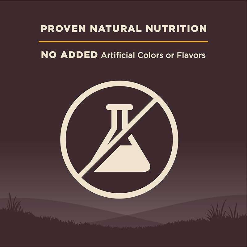 Wellness CORE Puppy Dry Dog Food, Grain Free Kibble, Natural, High Protein, Chicken and Turkey Recipe, 4 lb Bag - Image 7