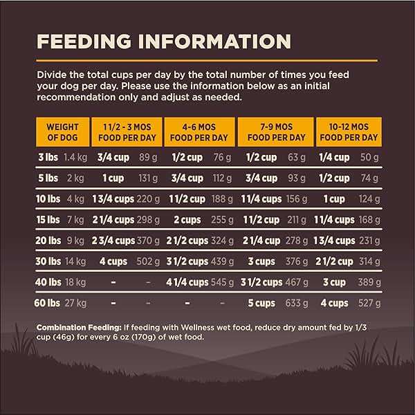 Wellness CORE Puppy Dry Dog Food, Grain Free Kibble, Natural, High Protein, Chicken and Turkey Recipe, 4 lb Bag - Image 9