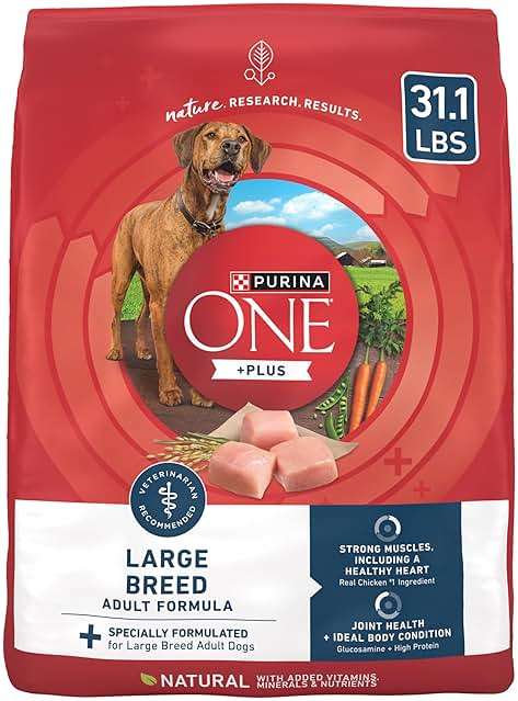 Purina One +Plus Dry Dog Food for Large Adult Dogs High Protein, Real Chicken - 31.1 lb Bag - Image 1
