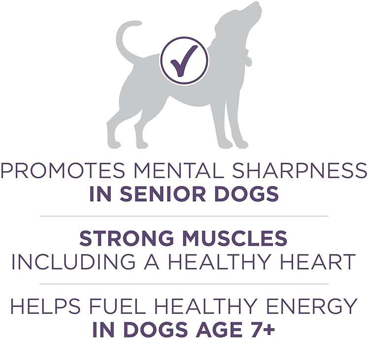 Purina ONE High Protein Dry Senior Dog Food Plus Vibrant Maturity Adult 7 Plus Formula - 31.1 lb. Bag - Image 4