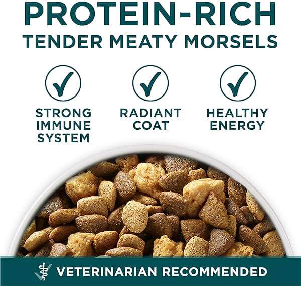 Purina ONE Plus Large Breed Puppy Food Dry Formula - 16.5 lb. Bag - Image 2