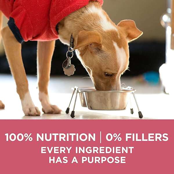 Purina ONE Natural, Sensitive Stomach Dry Dog Food, +Plus Skin & Coat Formula - 31.1 lb. Bag - Image 8