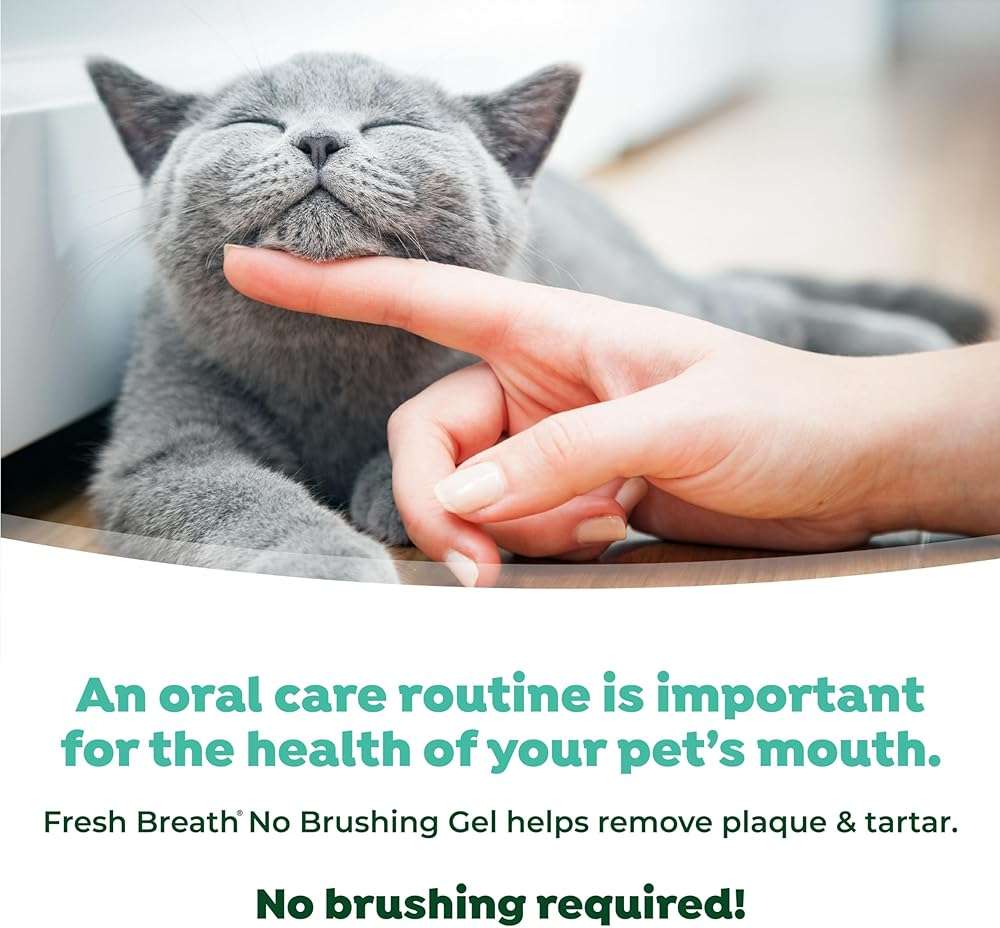 TropiClean Fresh Breath Cat Toothpaste for Teeth Cleaning, Breath Freshener, Easy to Use Plaque & Tartar Remover Gel, No Toothbrush Needed, 2oz. - Image 5