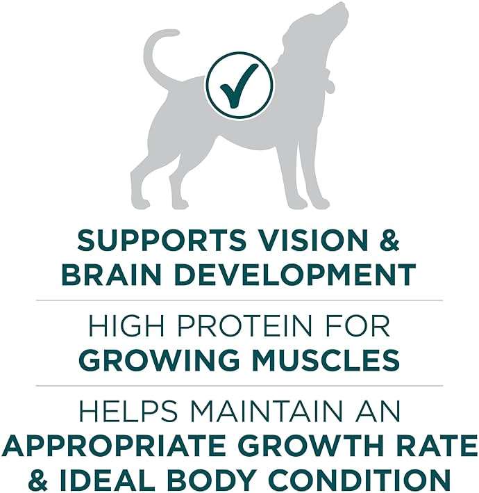 Purina ONE Plus Puppy Dry Dog Food for Large Dogs High Protein Growth Support, Real Chicken - 31.1 lb Bag - Image 4