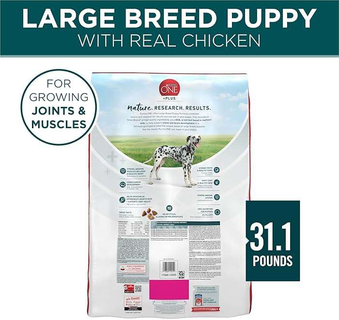 Purina ONE Plus Puppy Dry Dog Food for Large Dogs High Protein Growth Support, Real Chicken - 31.1 lb Bag - Image 6