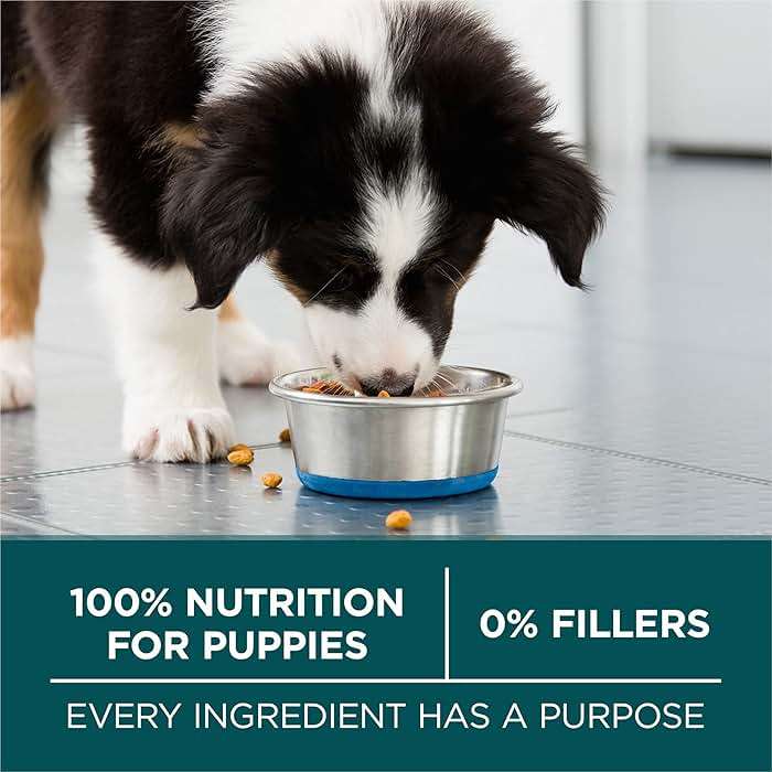 Purina ONE Plus Puppy Dry Dog Food for Large Dogs High Protein Growth Support, Real Chicken - 31.1 lb Bag - Image 7