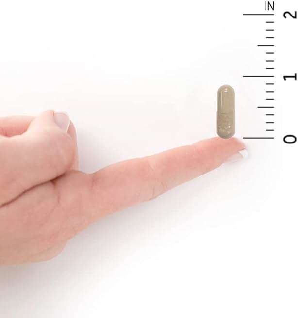 Garden of Life Vitamin Code Raw Vitamin C - 120 Capsules, 500mg Whole Food Vitamin C Capsules + Fruit & Veggie Blend & Probiotics, Supplements for Adults, Vegan, Gluten Free - Image 8