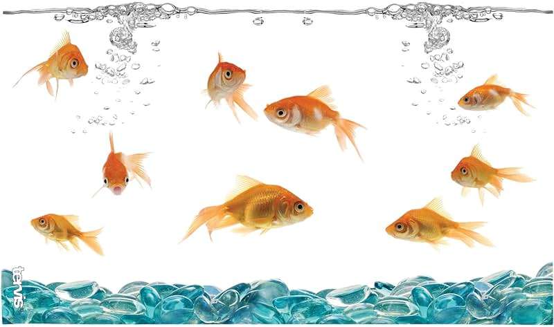 Tervis Goldfish Made in USA Double Walled Insulated Tumbler Travel Cup Keeps Drinks Cold & Hot, 16oz, Classic - Image 3