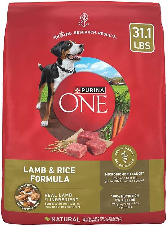Purina ONE Dry Dog Food Lamb and Rice Formula - 31.1 lb. Bag - Image 1
