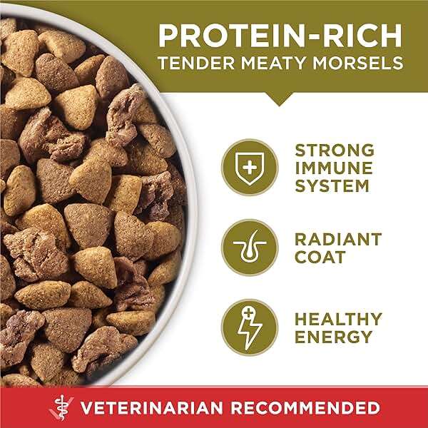 Purina ONE Dry Dog Food Lamb and Rice Formula - 31.1 lb. Bag - Image 2