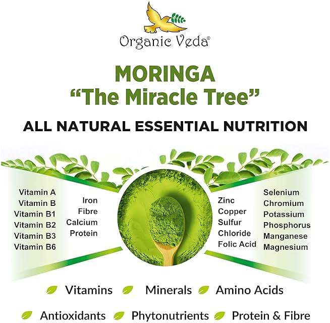 Organic Veda Moringa Powder - Premium Harvest Real Green Native Moringa Oleifera, Vitamins & Antioxidant Rich Leaves - USDA Organic, Gentle Dried Drumstick Leaf Powder (16 oz (Pack of 1)) - Image 5