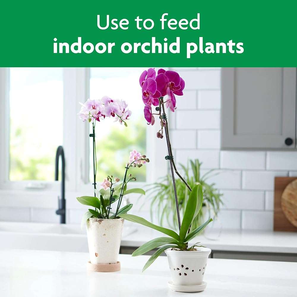 Miracle-Gro Orchid Plant Food Spikes - Indoor Plant Fertilizer Sticks for Potted Orchids, Feeds for up to 2 Months, 10 Spikes - Image 2