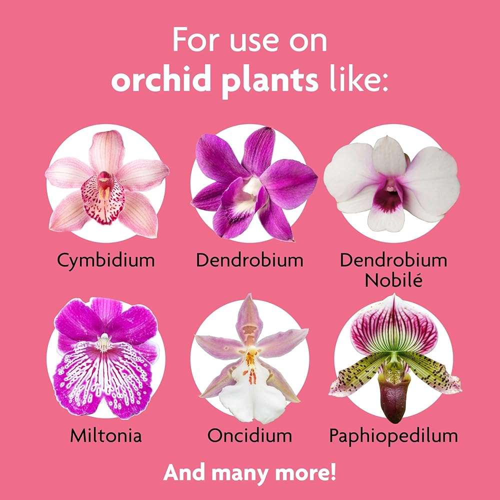 Miracle-Gro Orchid Plant Food Spikes - Indoor Plant Fertilizer Sticks for Potted Orchids, Feeds for up to 2 Months, 10 Spikes - Image 3