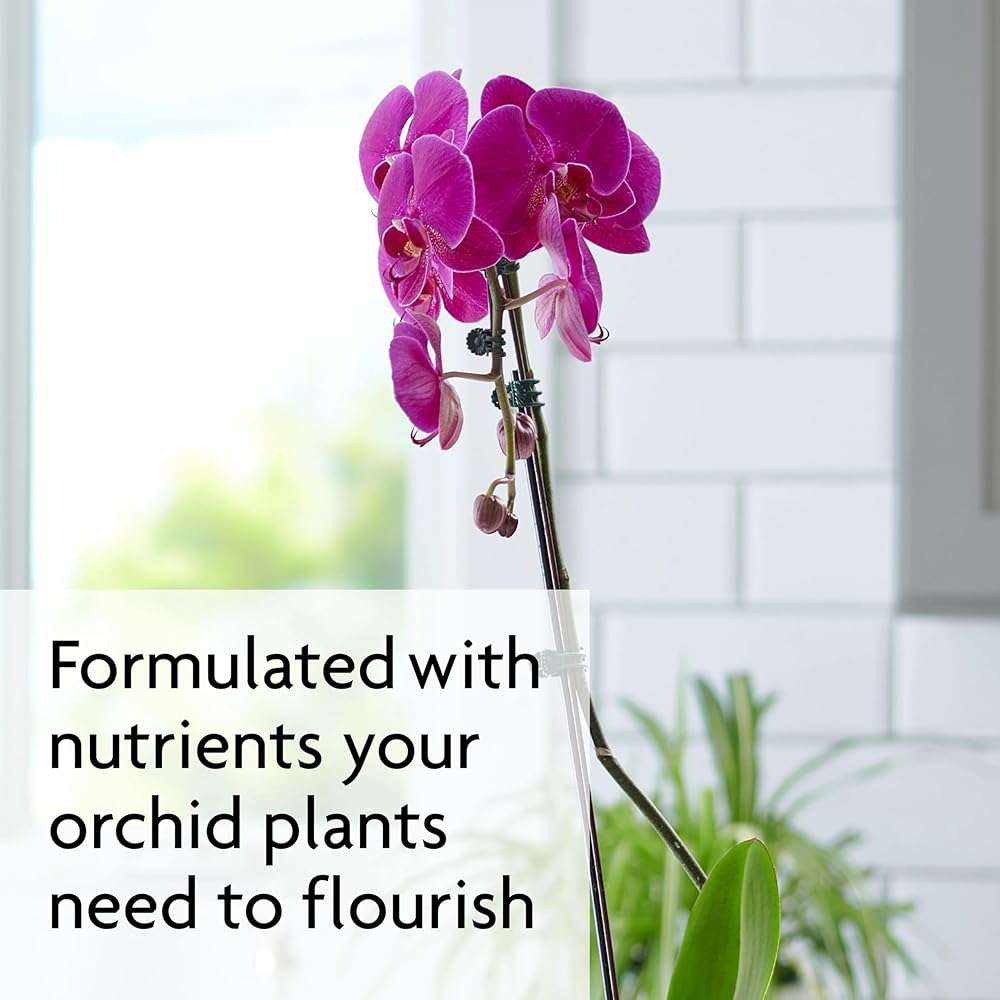Miracle-Gro Orchid Plant Food Spikes - Indoor Plant Fertilizer Sticks for Potted Orchids, Feeds for up to 2 Months, 10 Spikes - Image 4
