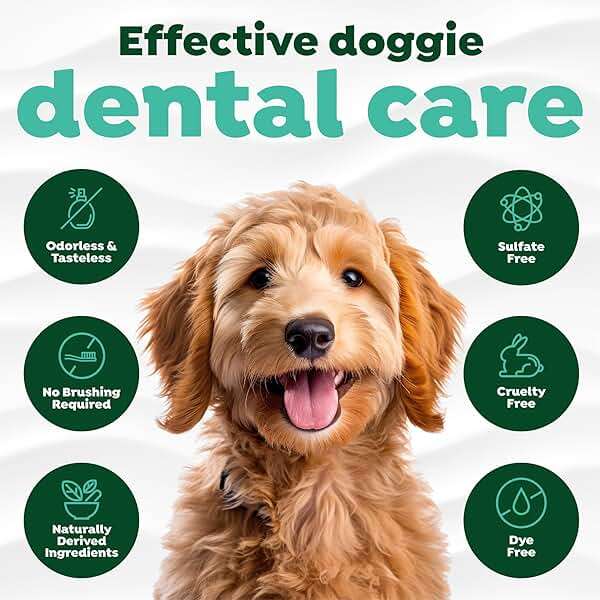 TropiClean Fresh Breath Water Additive for Dogs with Collagen, Skin Health Support for Dogs, Breath Freshener and Teeth Cleaning Solution, 16oz. - Image 6