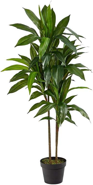 Nearly Natural 48in Artificial Dracaena with Real Touch Leaves and Multi Tonal Trunks, Large Indoor Silk Plant with Pot, Maintenance Free For Living Room And Home Office Decor - Image 1