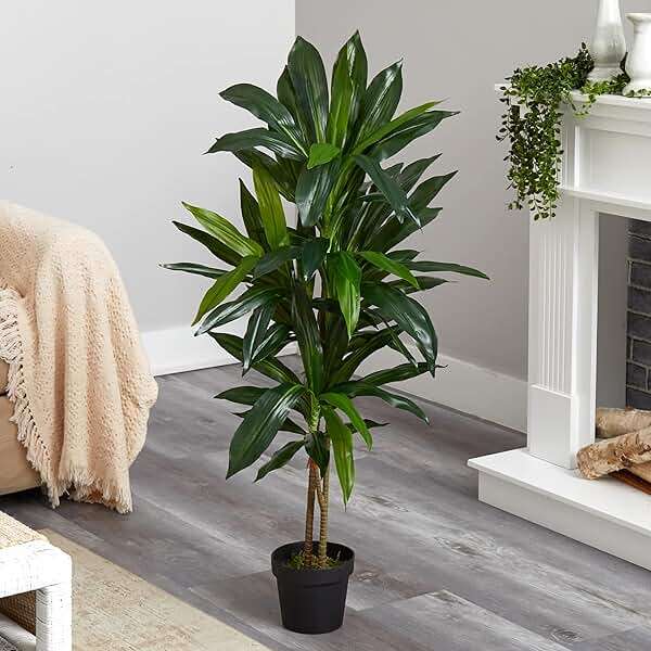 Nearly Natural 48in Artificial Dracaena with Real Touch Leaves and Multi Tonal Trunks, Large Indoor Silk Plant with Pot, Maintenance Free For Living Room And Home Office Decor - Image 2