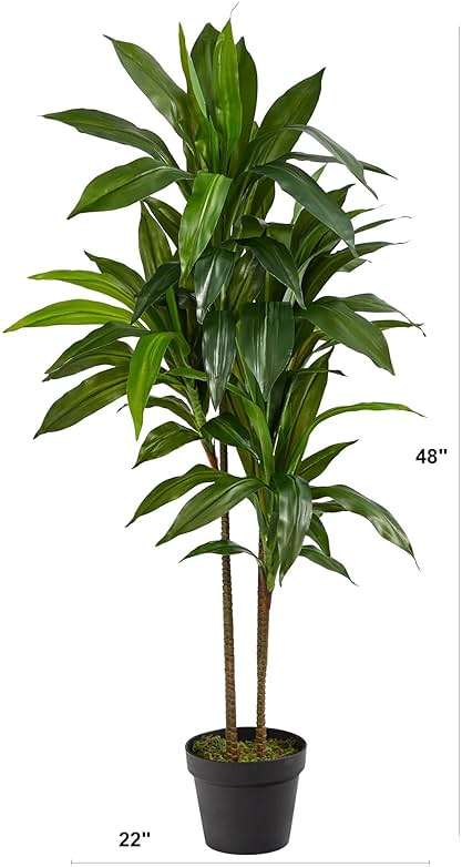 Nearly Natural 48in Artificial Dracaena with Real Touch Leaves and Multi Tonal Trunks, Large Indoor Silk Plant with Pot, Maintenance Free For Living Room And Home Office Decor - Image 3