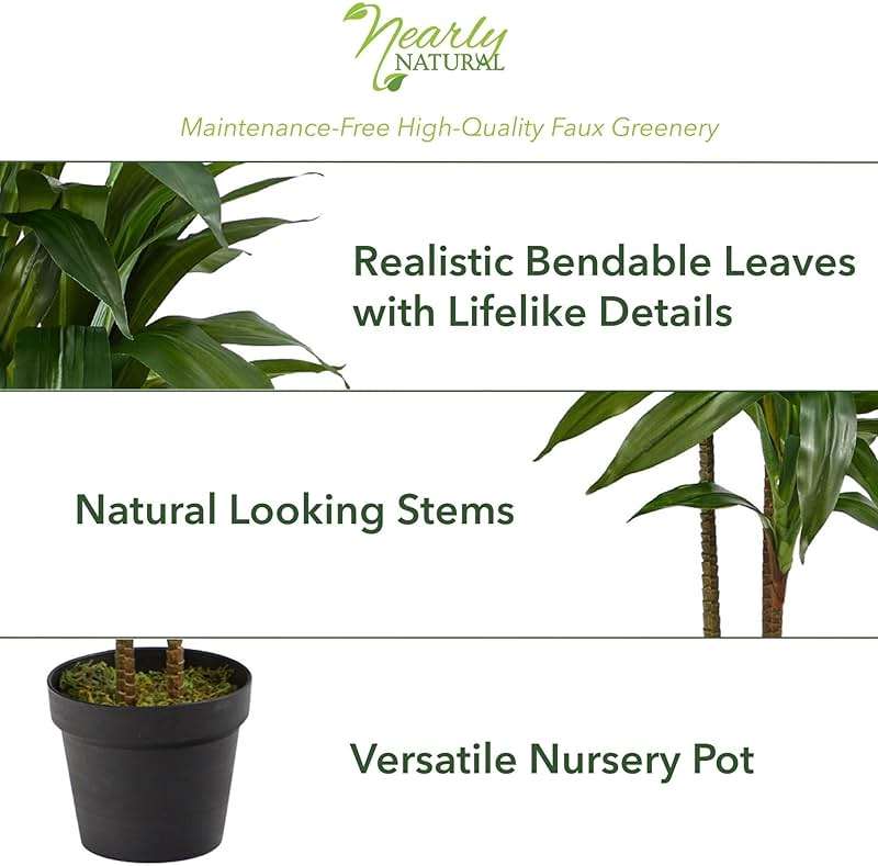 Nearly Natural 48in Artificial Dracaena with Real Touch Leaves and Multi Tonal Trunks, Large Indoor Silk Plant with Pot, Maintenance Free For Living Room And Home Office Decor - Image 4