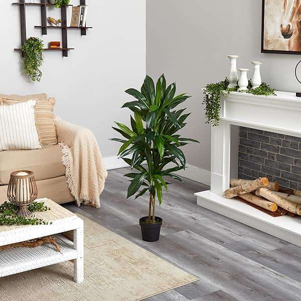 Nearly Natural 48in Artificial Dracaena with Real Touch Leaves and Multi Tonal Trunks, Large Indoor Silk Plant with Pot, Maintenance Free For Living Room And Home Office Decor - Image 8