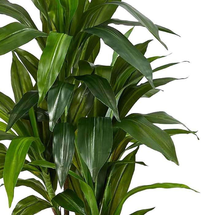 Nearly Natural 48in Artificial Dracaena with Real Touch Leaves and Multi Tonal Trunks, Large Indoor Silk Plant with Pot, Maintenance Free For Living Room And Home Office Decor - Image 9