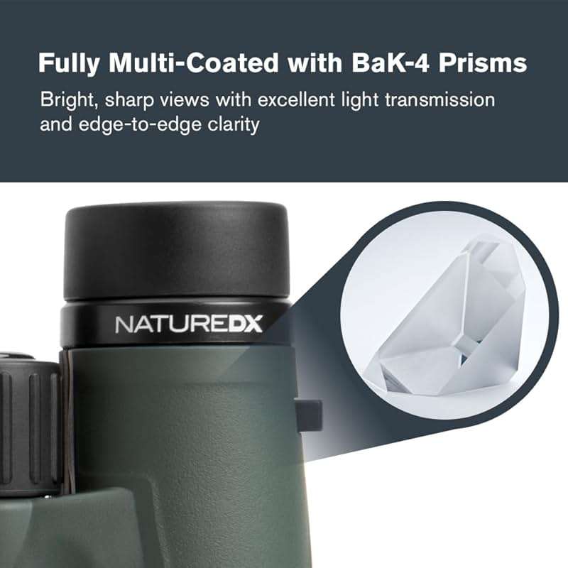 Celestron - Nature DX 8x42 Binoculars – Ideal for Birding and Outdoors – 42mm Objective Lenses – Wide 7.4° Field of View – BaK-4 Prisms – Fully Multi-Coated – Waterproof and Fogproof - Image 3