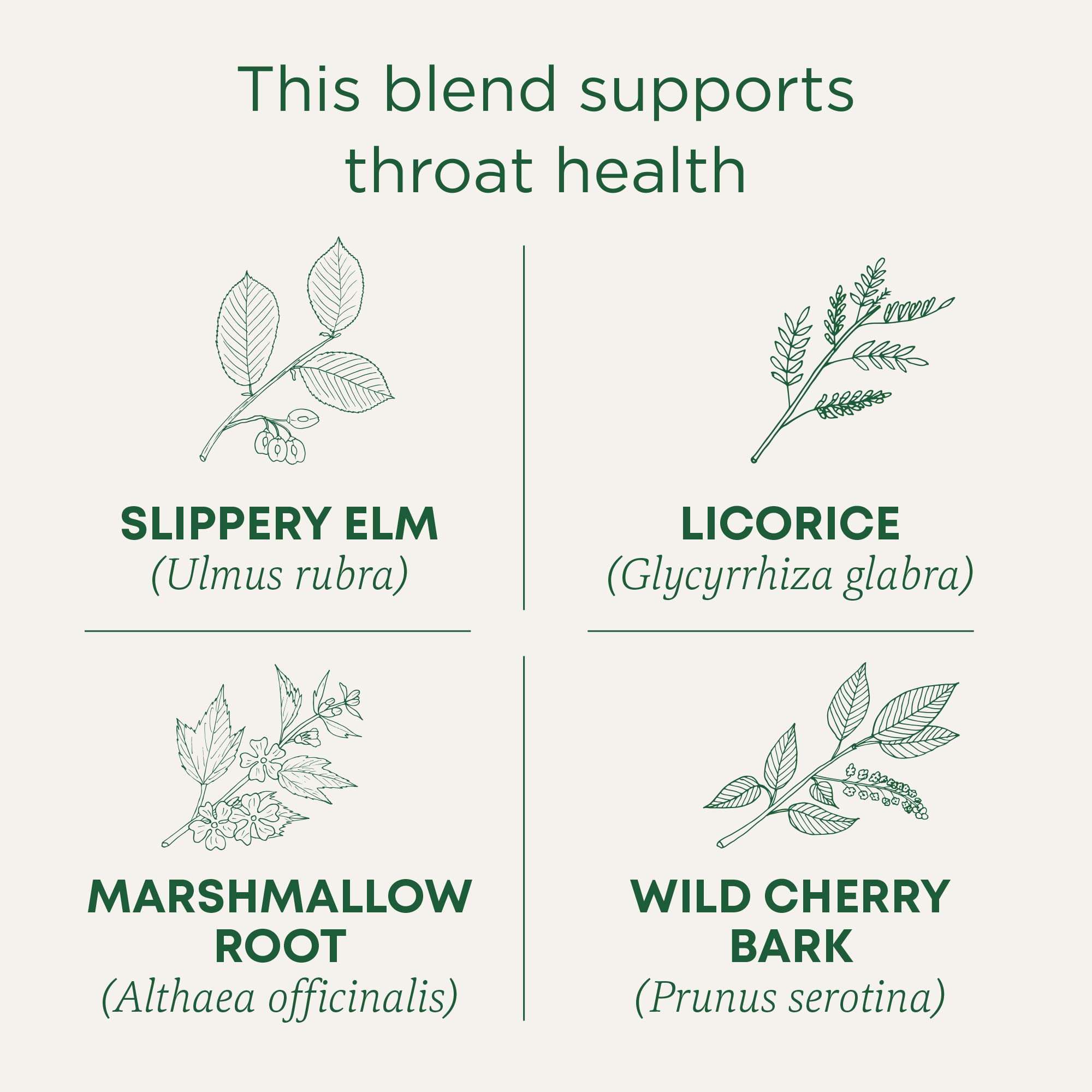 Traditional Medicinals Organic, Throat Coat Tea, Original with Slippery Elm - Supports Throat Health - Kosher, Non-GMO, Caffeine-Free, Compostable - 16 Tea Bags - Image 4