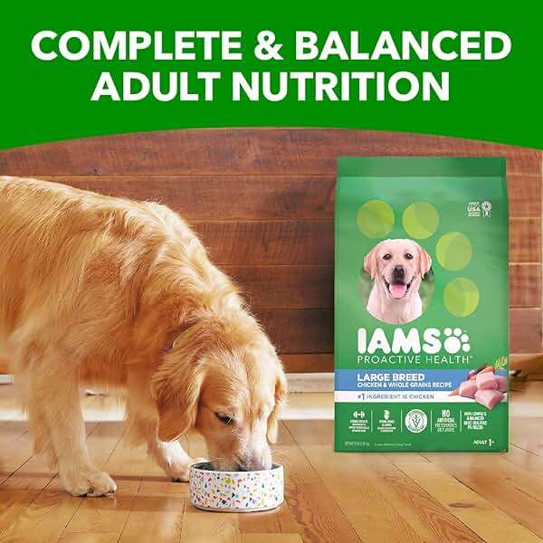 IAMS Proactive Health Large Breed Dry Dog Food, Adult Dry Dog Food for Large Breeds, Chicken, 30 lb. Bag - Image 10