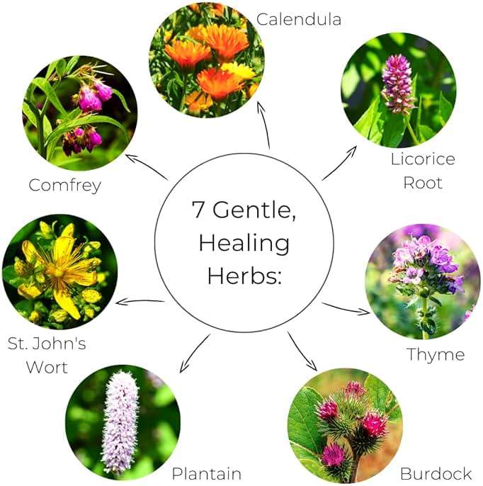 Ora's Amazing Herbal Touchy Skin Salve, Eczema Cream for Kids and Adults, Natural Sensitive Skin Treatment, Itch Cream, Calendula Ointment, Dry Skin Balm, Fragrance Free, 1 oz Travel Size - Image 7