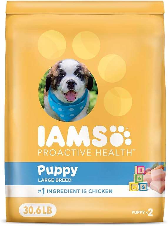 IAMS Proactive Health Puppy Food, Large Breed Premium Puppy Food for Large Dogs, 30.6 Lb. Bag - Image 1