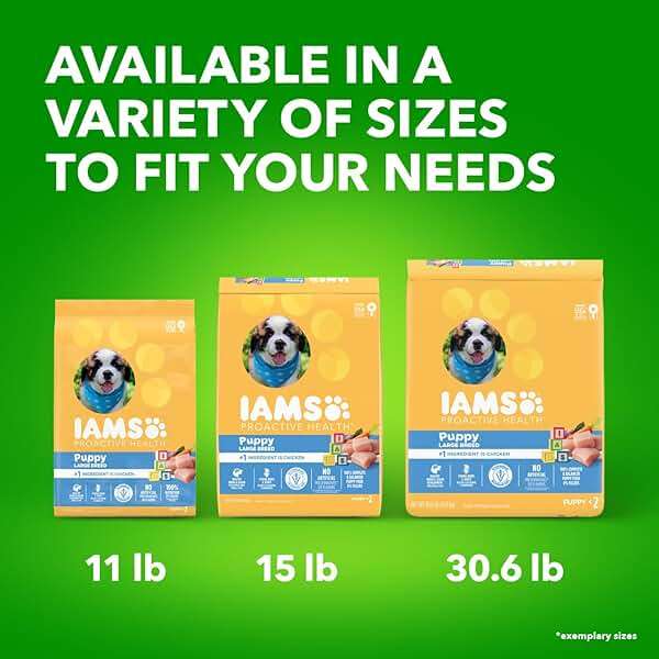 IAMS Proactive Health Puppy Food, Large Breed Premium Puppy Food for Large Dogs, 30.6 Lb. Bag - Image 13