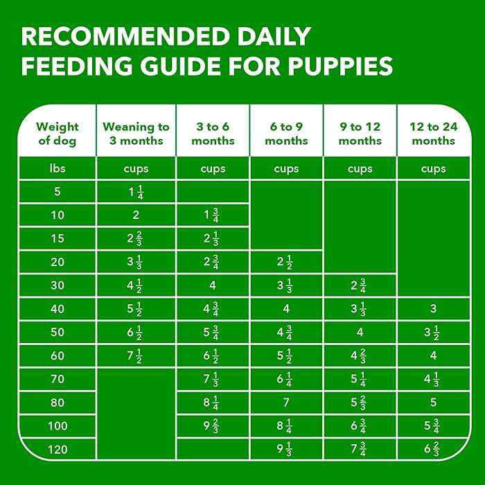 IAMS Proactive Health Puppy Food, Large Breed Premium Puppy Food for Large Dogs, 30.6 Lb. Bag - Image 6