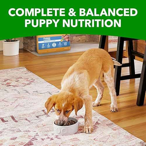 IAMS Proactive Health Puppy Food, Large Breed Premium Puppy Food for Large Dogs, 30.6 Lb. Bag - Image 10