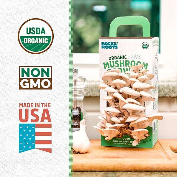 Back to the Roots Organic Oyster Mushroom Grow Kit, Harvest Gourmet Mushrooms In 10 Days - Image 2