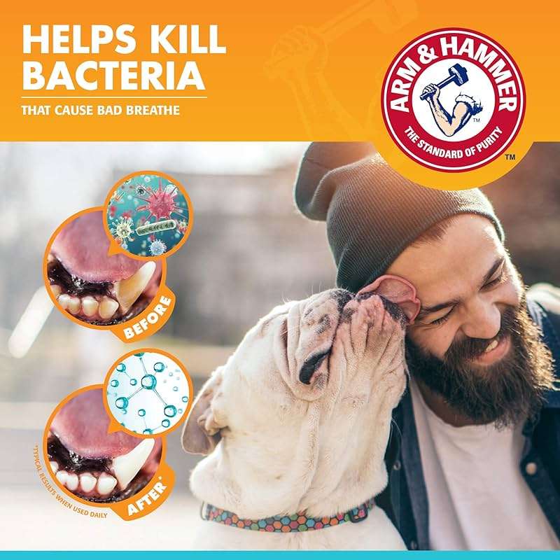 Arm & Hammer for Pets Dog Oral Care Spray, Mint Flavor Breath Freshener with Baking Soda for Brushless Plaque and Tartar Support, Easy Daily Dental Maintenance for Adult Dogs, 4 Fl Oz - Image 4
