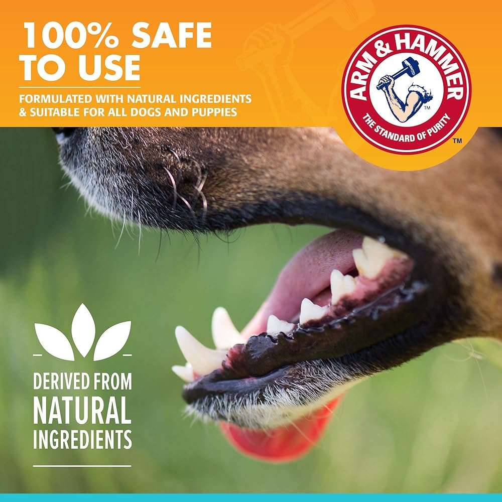 Arm & Hammer for Pets Dog Oral Care Spray, Mint Flavor Breath Freshener with Baking Soda for Brushless Plaque and Tartar Support, Easy Daily Dental Maintenance for Adult Dogs, 4 Fl Oz - Image 5